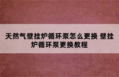 天然气壁挂炉循环泵怎么更换 壁挂炉循环泵更换教程